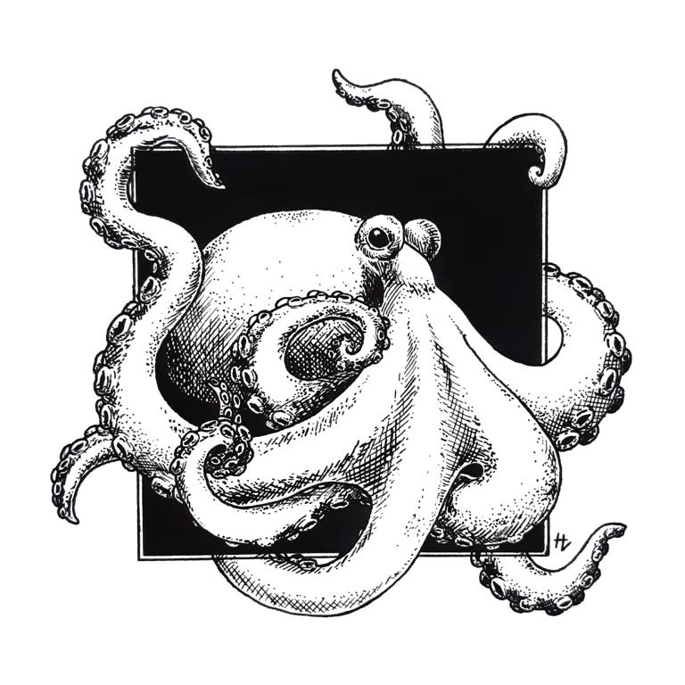Tintenzeichnung eines Oktopus, dessen Tentakel sich um ein schwarzes Quadrat winden