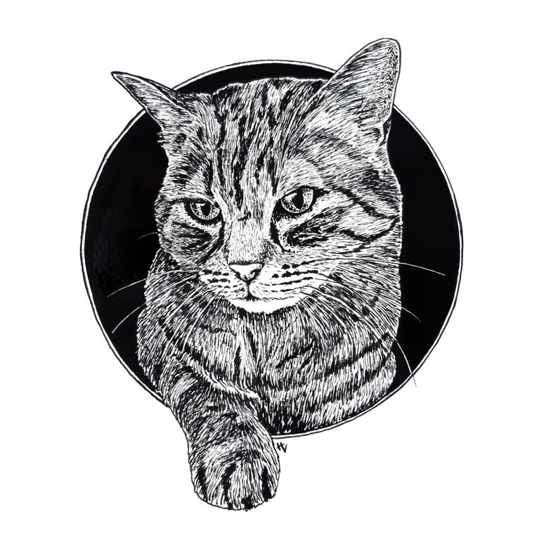 Tintenzeichnung einer Katze vor einem schwarzen Kreis