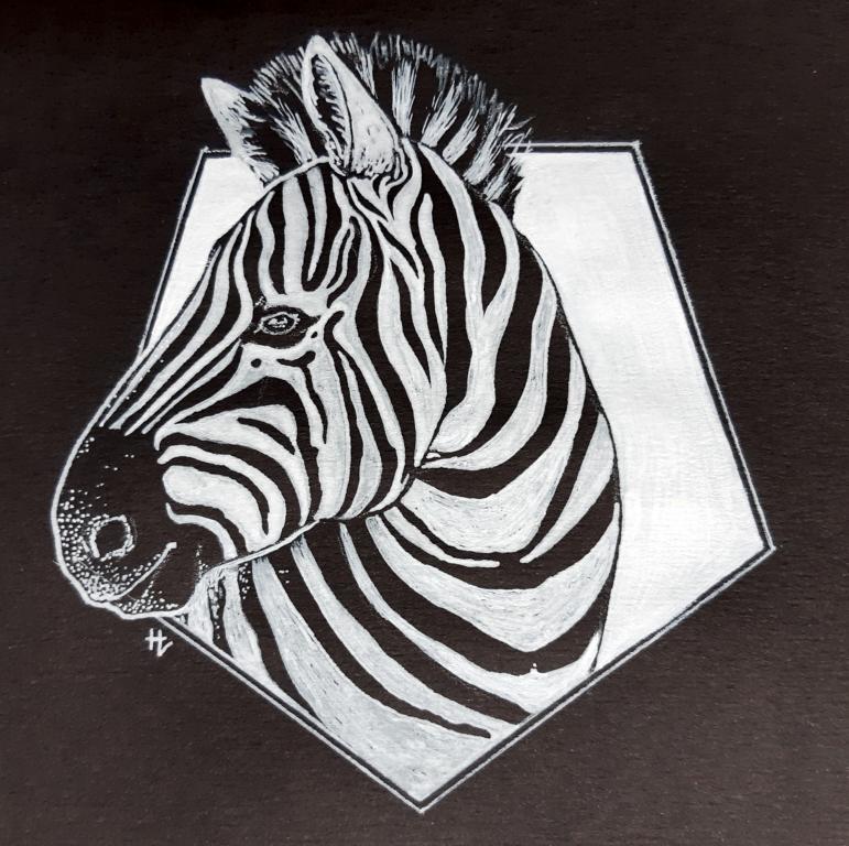 Tintenportrait eines Zebras, das aus einer weißen fünfeckigen Form herausschaut