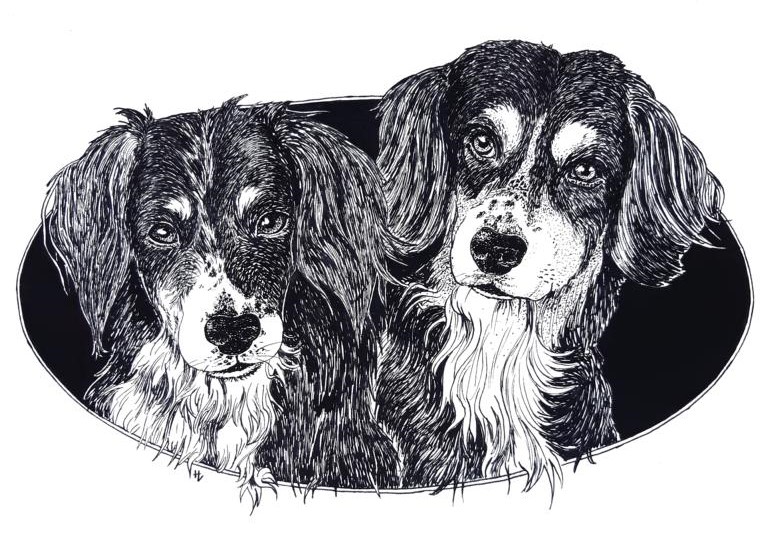 Tintenzeichnung zweier Hunde vor einer schwarzen Ellipse